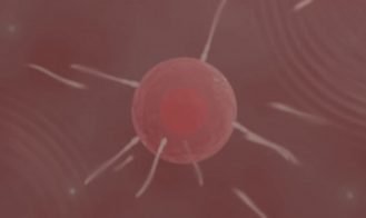 Futanari Revolution Adult Game Screenshots (4)