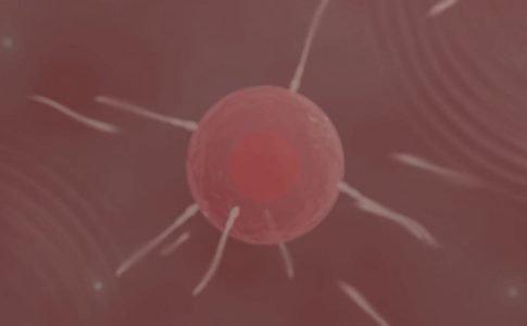 Futanari Revolution Adult Game Screenshots (4)