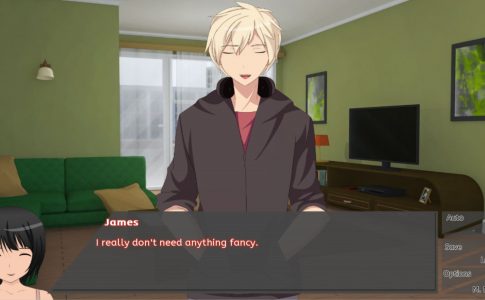 Frequent Flyer A Long Distance Love Story Adult Game Screenshot (2)