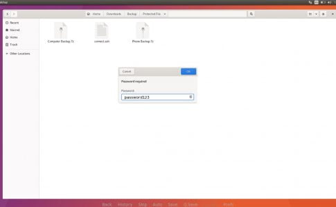 Protected Files Adult Game Screenshot (2)