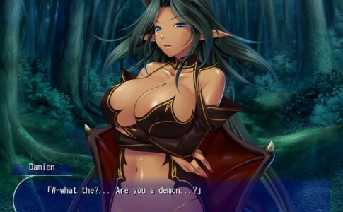 Master of the Harem Guild Adult Game Screenshot (4)