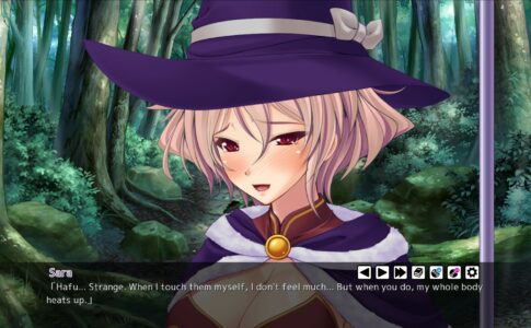 Master of the Harem Guild Adult Game Screenshot (8)