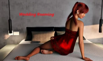 Wedding Roaming